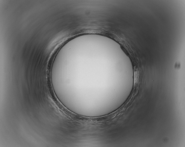 X0000111930243200907271320