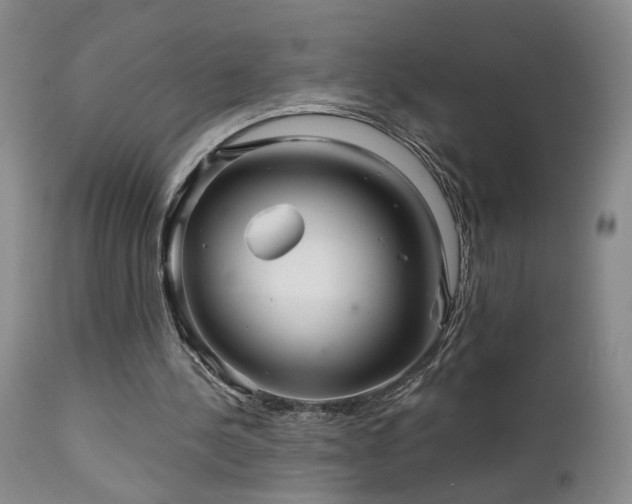 X0000111930244200907271320