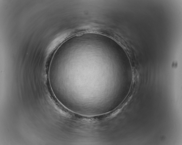 X0000111930245200907271320