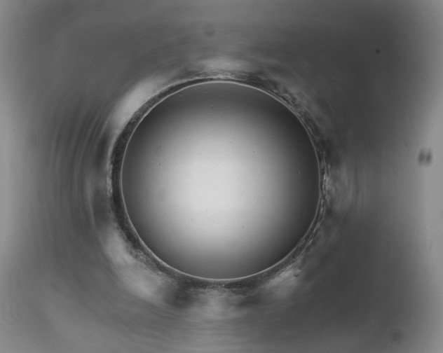 X0000111930246200907271320