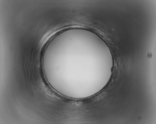 X0000111930247200907271320