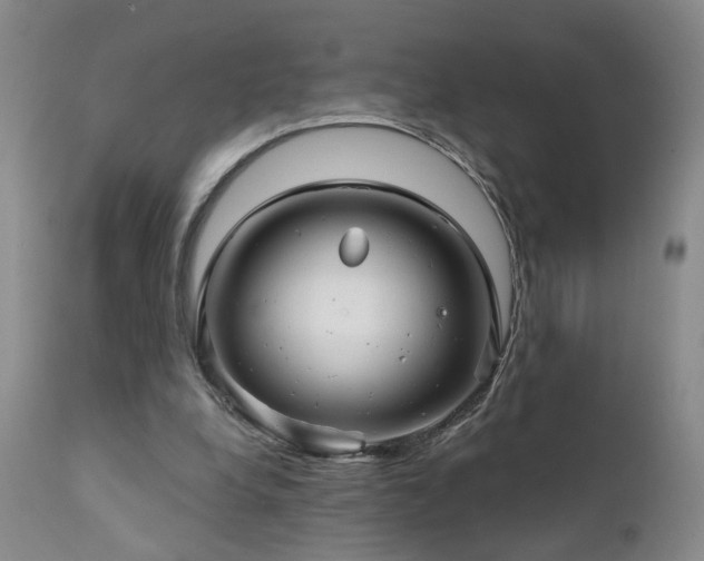 X0000111930248200907271320