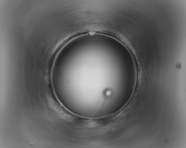 X0000111930249200907271320