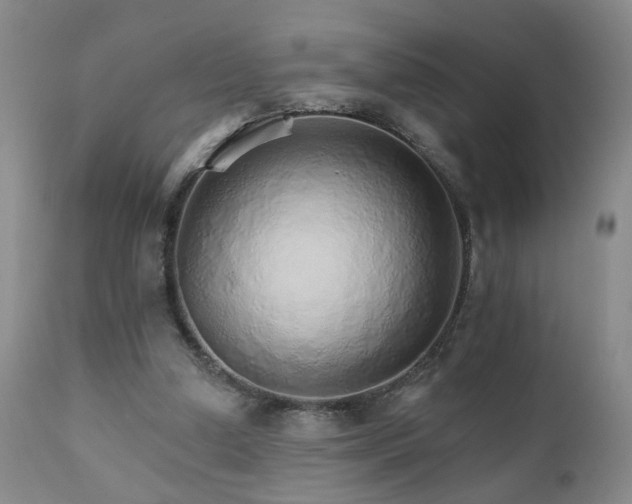 X0000111930250200907271320