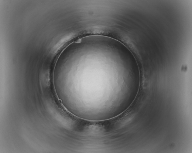 X0000111930251200907271320