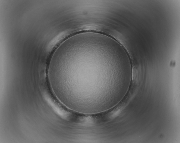 X0000111930253200907271320