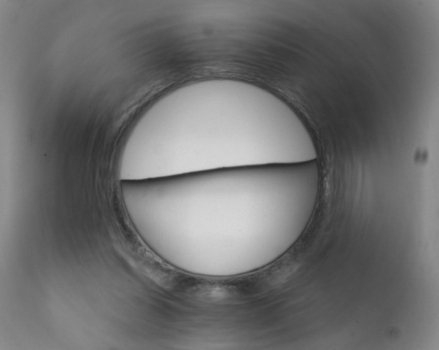X0000111930254200907271320