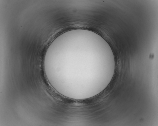 X0000111930255200907271320