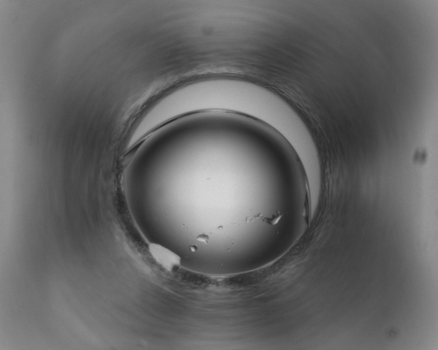 X0000111930256200907271320
