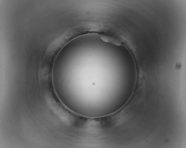 X0000111930257200907271320