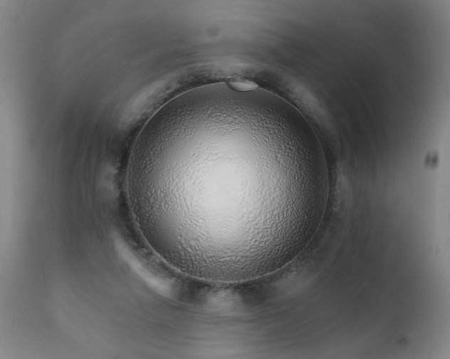 X0000111930258200907271320