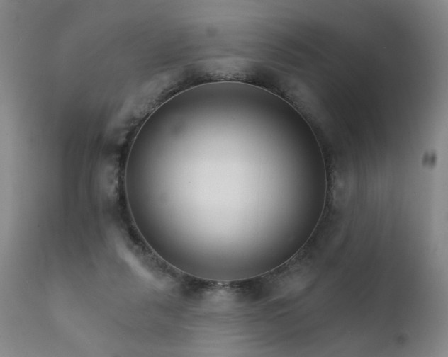X0000111930259200907271320