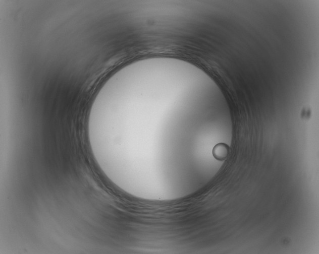 X0000111930260200907271320