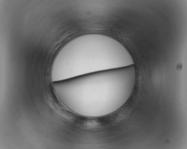 X0000111930262200907271320