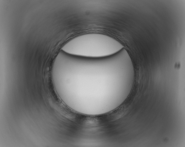 X0000111930263200907271320
