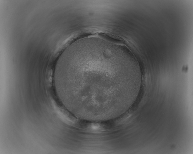 X0000111930264200907271320