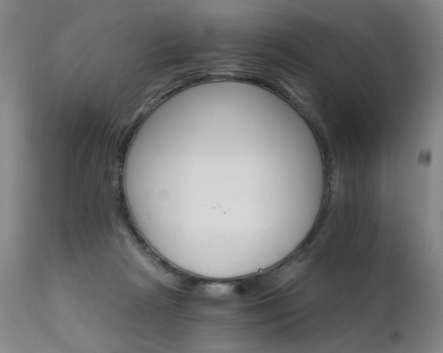 X0000111930265200907271320