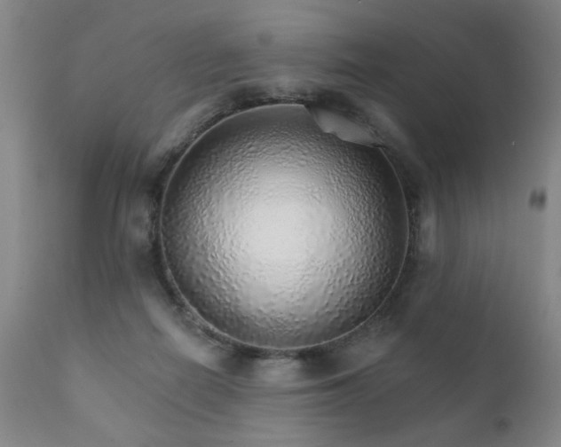X0000111930266200907271320