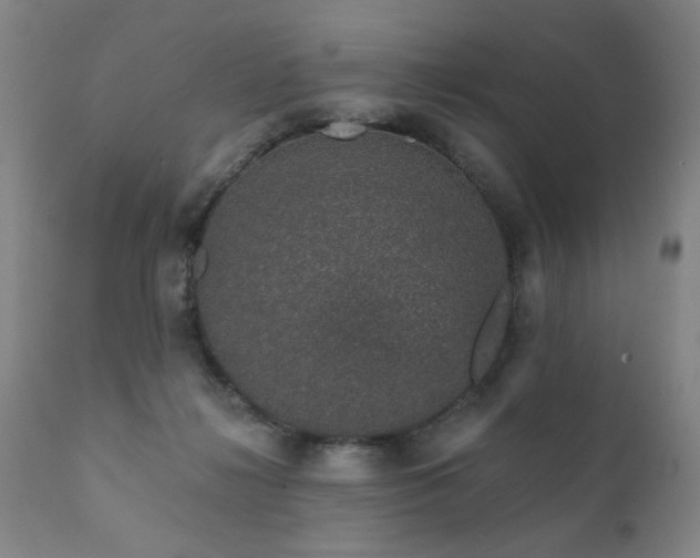 X0000111930268200907271320