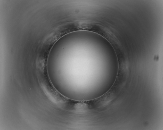 X0000111930271200907271320