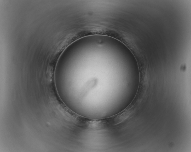 X0000111930273200907271320