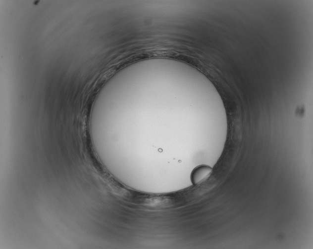 X0000111930274200907271320
