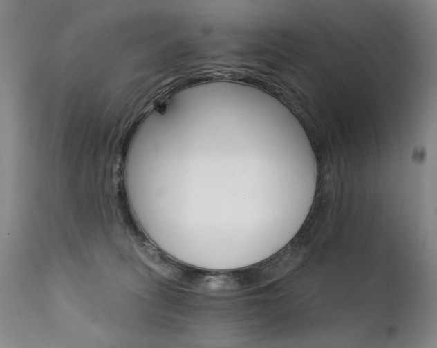 X0000111930275200907271320