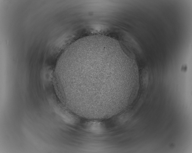 X0000111930276200907271320