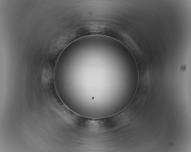 X0000111930277200907271320