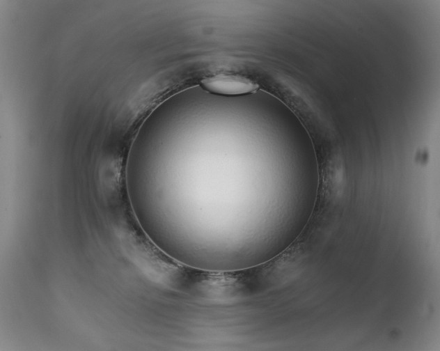 X0000111930278200907271320