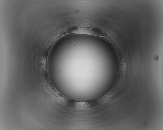 X0000111930281200907271321