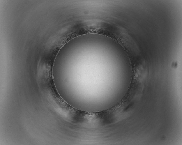 X0000111930283200907271321