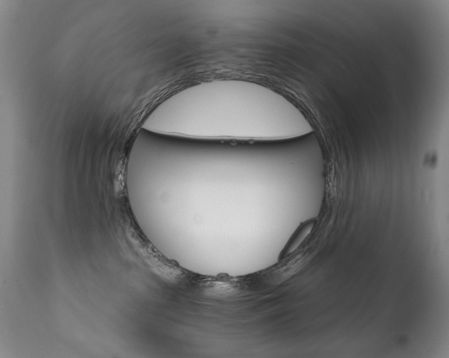X0000111930285200907271321