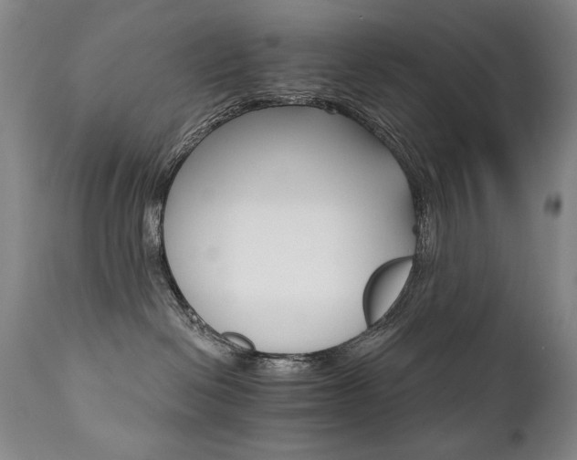 X0000111930286200907271321