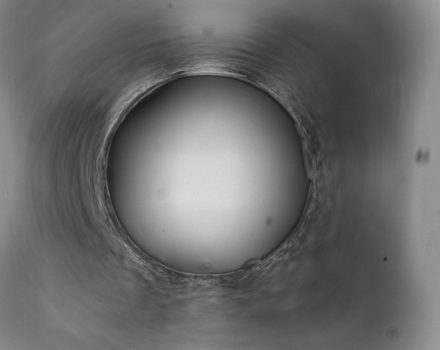 X0000111930289200907271320