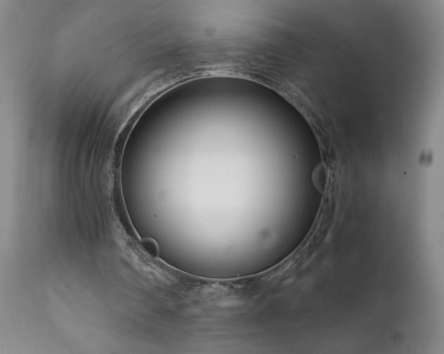 X0000111930290200907271320