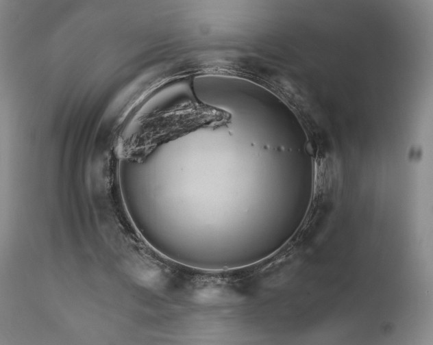 X0000111930291200907271320