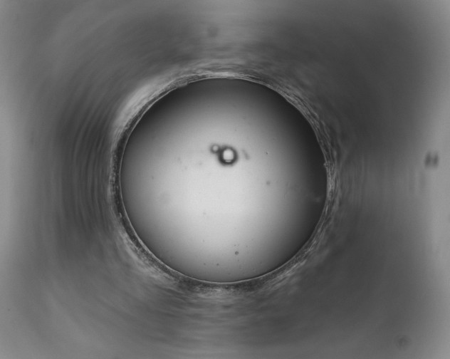 X0000111930293200907271320