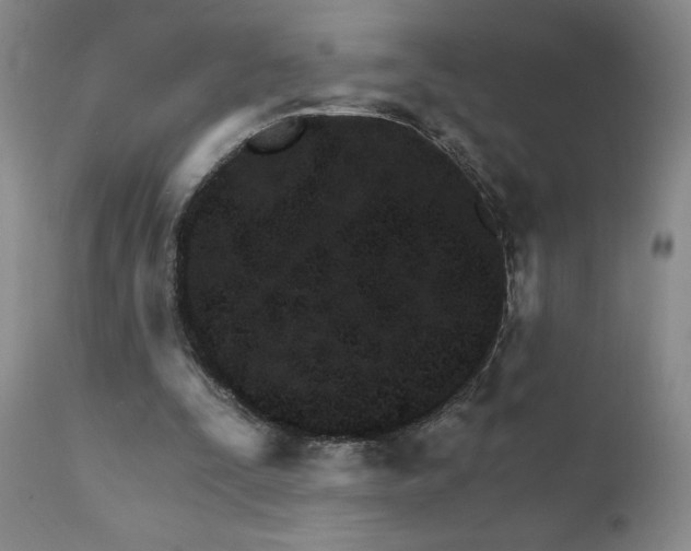 X0000111930295200907271320