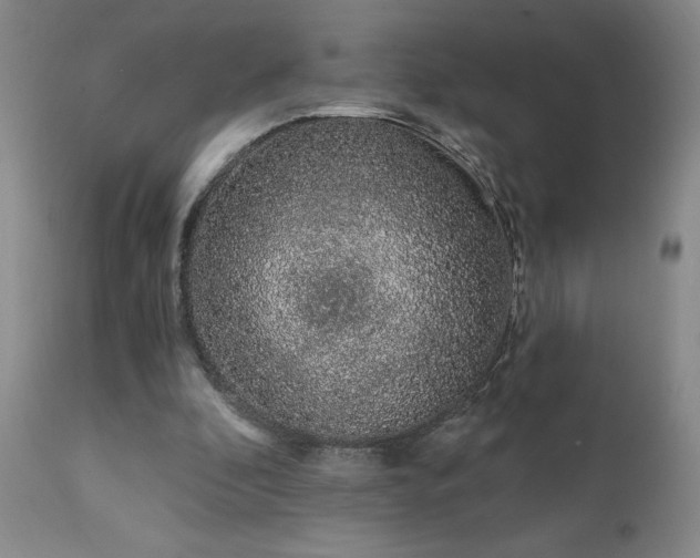 X0000111930296200907271320