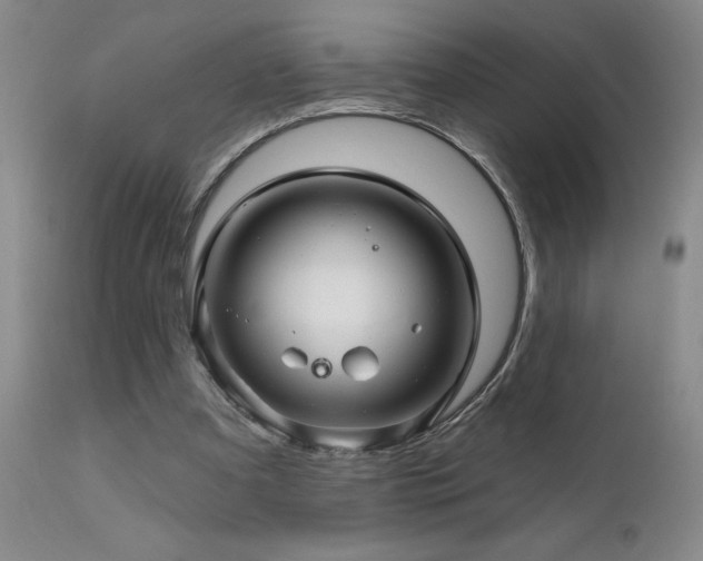 X0000111930297200907271320