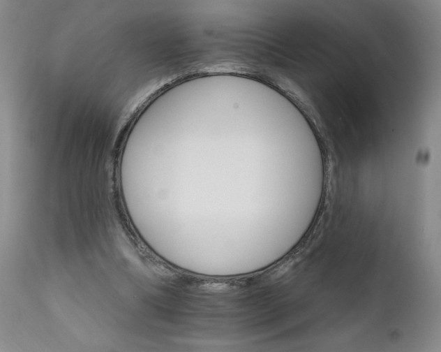 X0000111930298200907271320