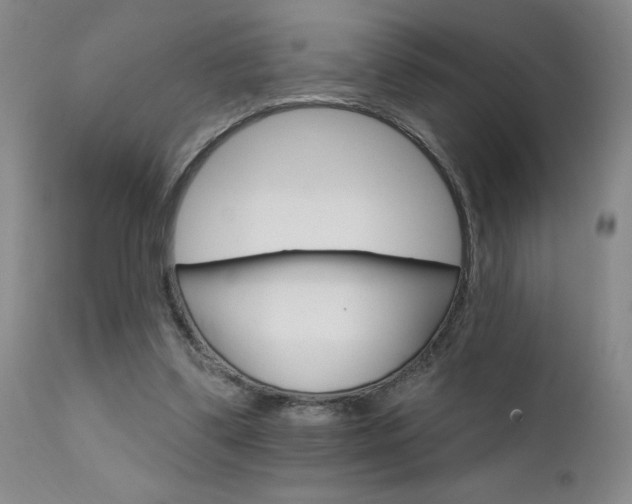 X0000111930299200907271320
