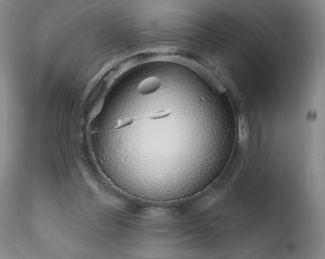 X0000111930300200907271320