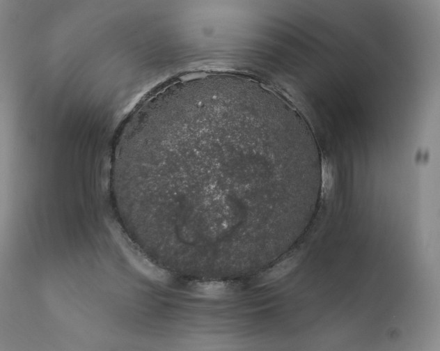 X0000111930301200907271320