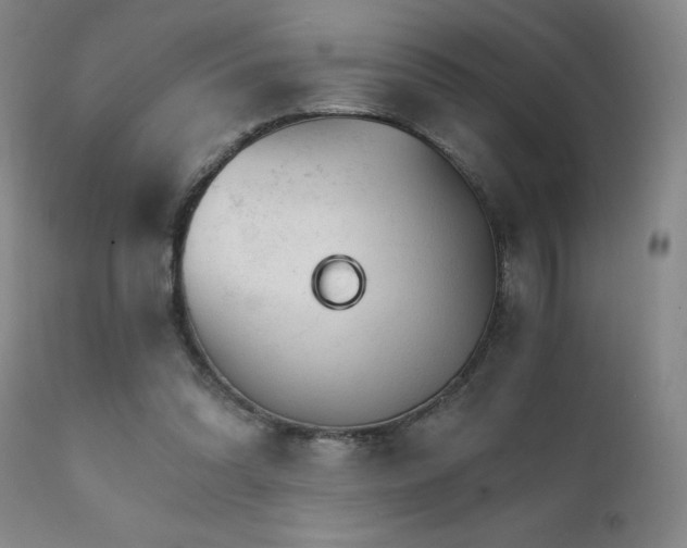 X0000111930302200907271320