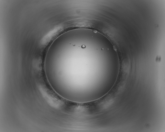 X0000111930303200907271320