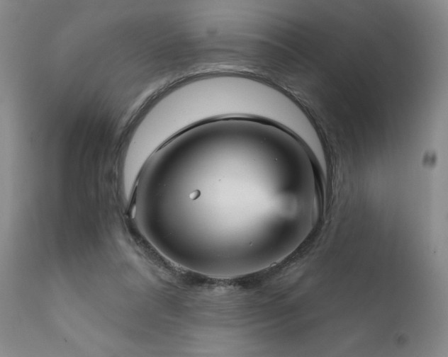 X0000111930304200907271320