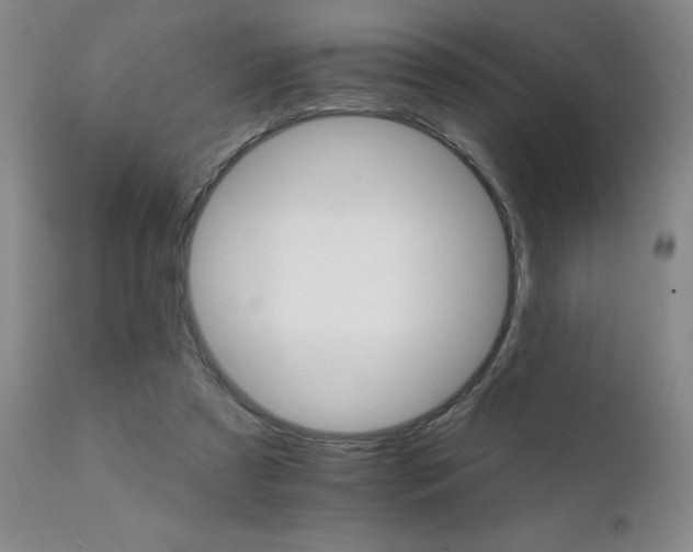 X0000111930305200907271320