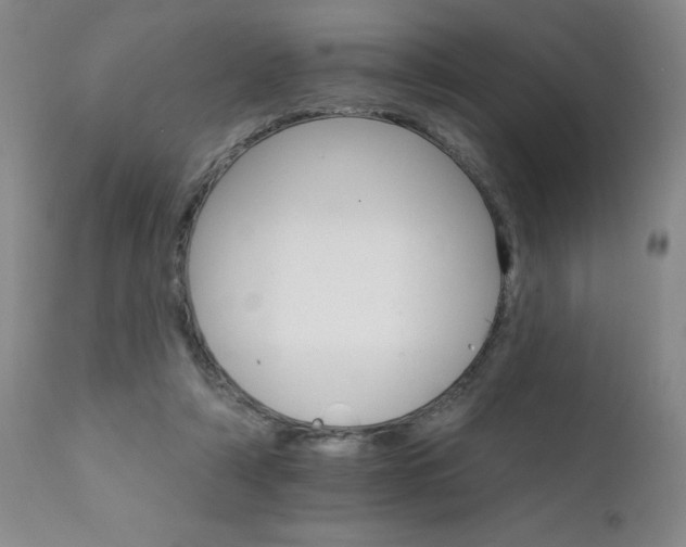 X0000111930306200907271320
